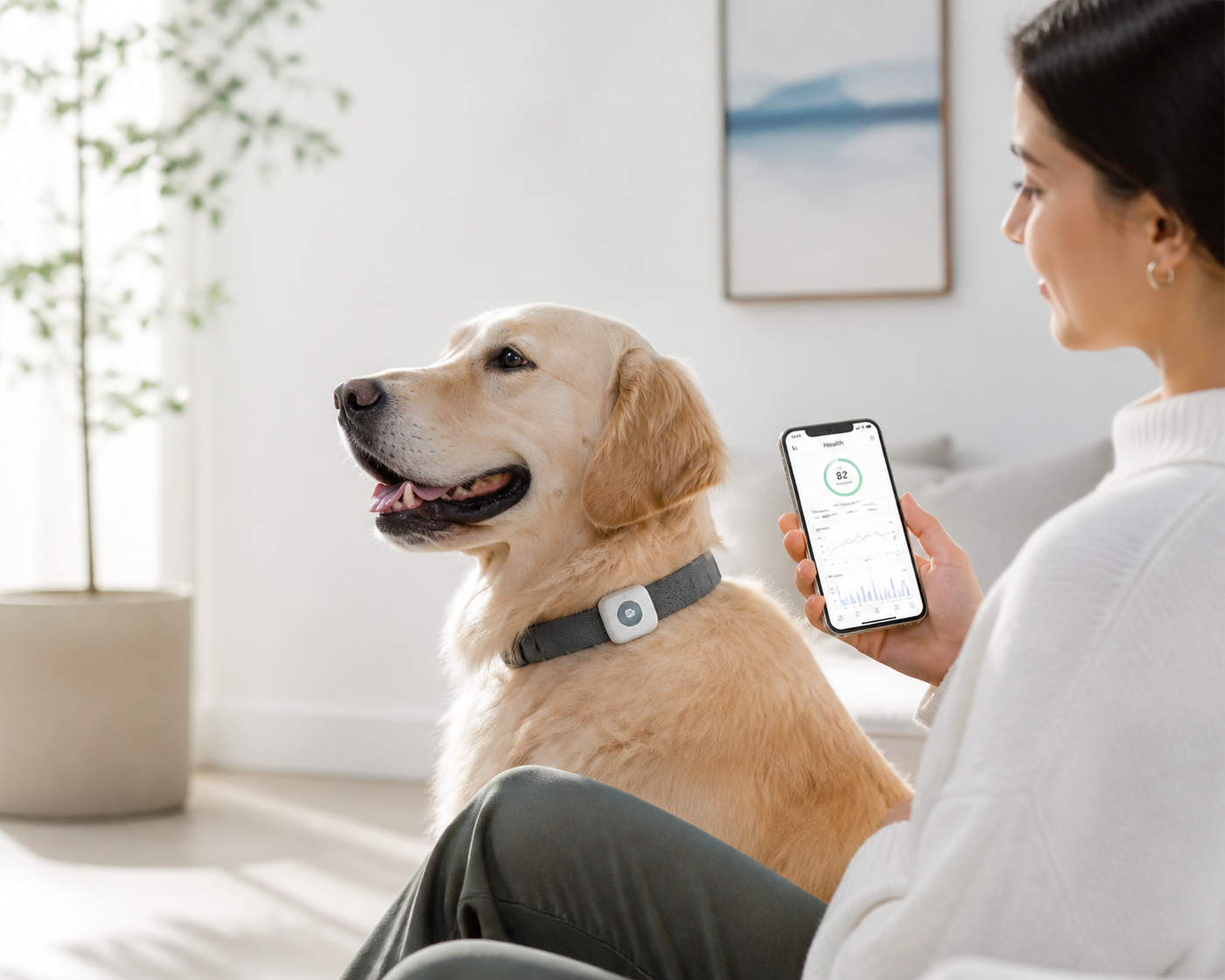 A bright modern scene with a dog wearing a smart collar and an owner reviewing health data on a phone, in a clean editorial style.